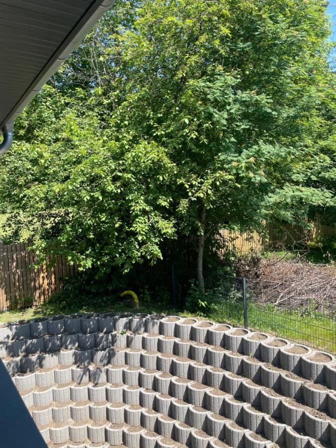 Eastside Braunlage Leilighet Eksteriør bilde